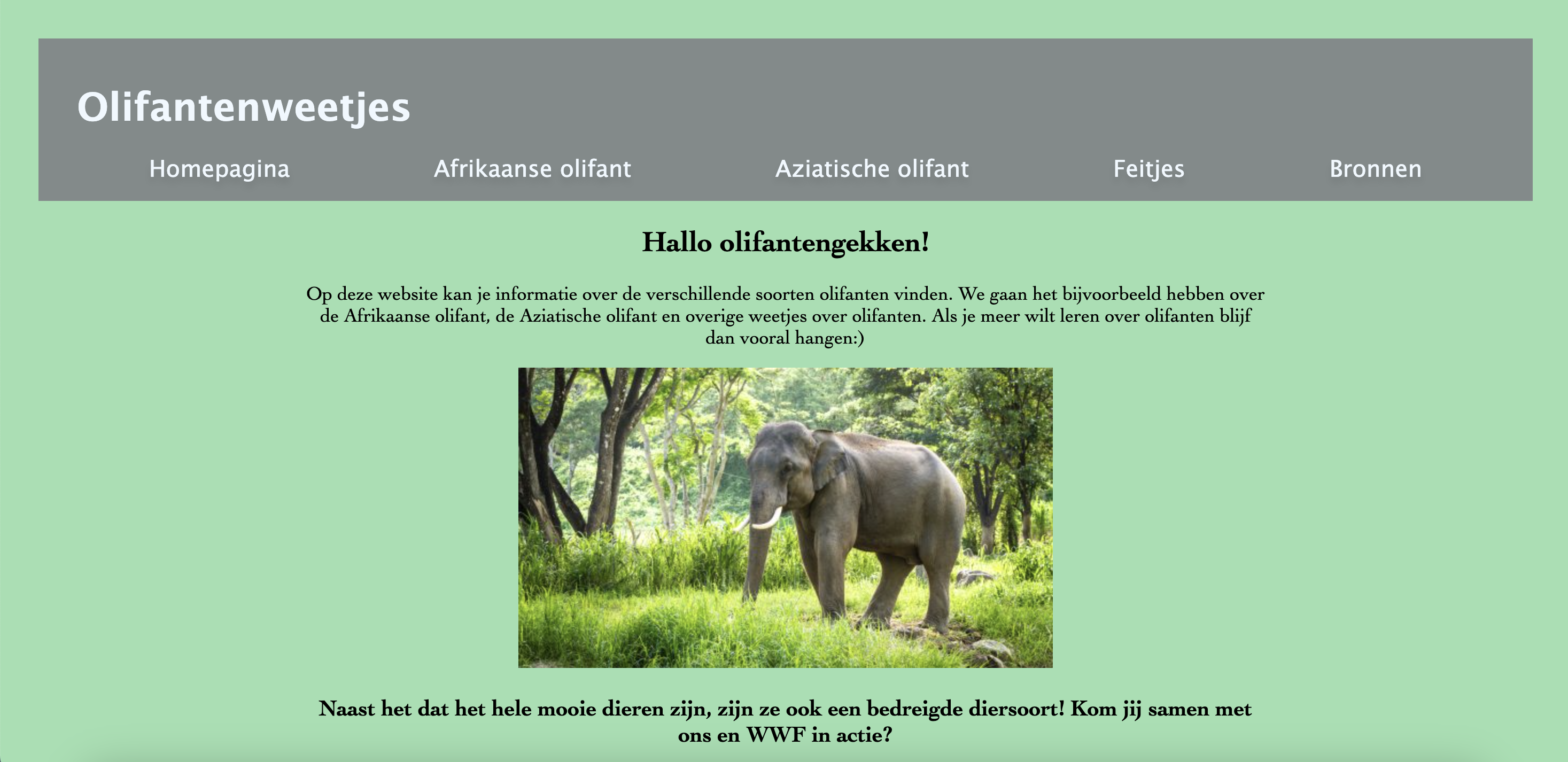 olifanten weetjes homepagina