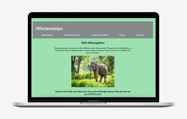 Olifanten weetjes homepagina